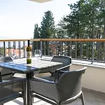 New Oasis
